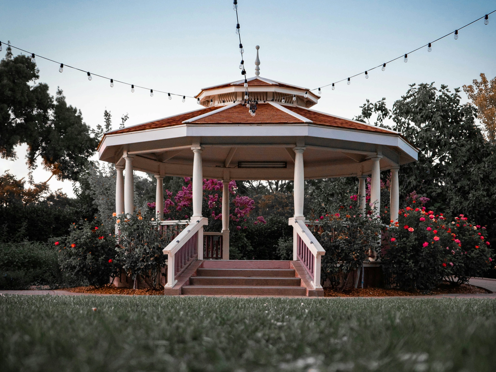 Perspective view of the gazebo with lightning and overlooking plants on it